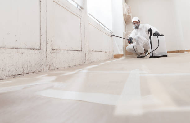 24/7 Emergency Mold Remediation experts in Spring Hill, FL
