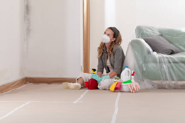 Reliable Mold Remediation contractor in Spring Hill, FL by 24 Hour Mold Removal